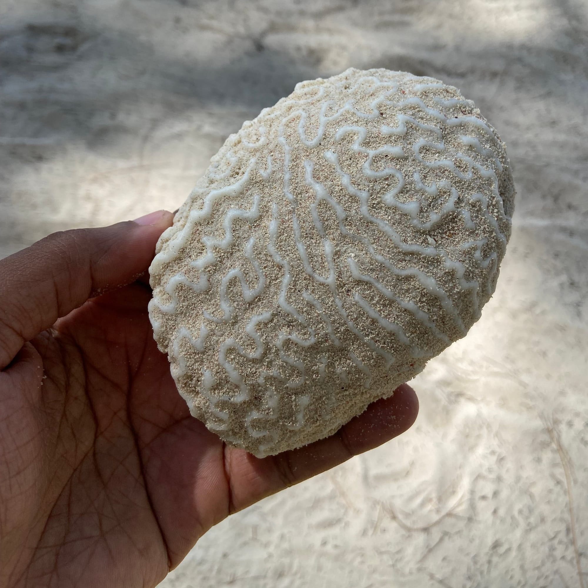 I Created My First Blog Magazine - Why The Silent Monologue Exists