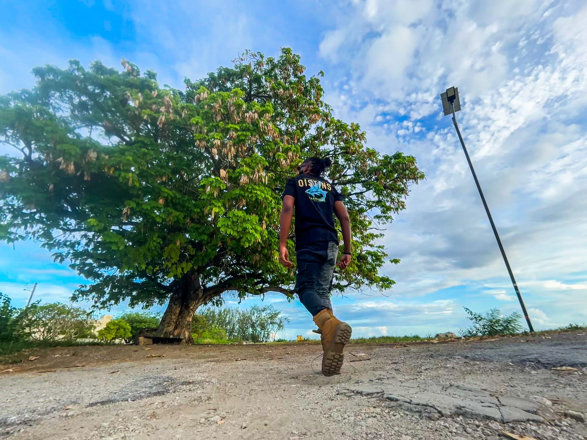 The Seven Wonders of Barbados: A Journey Begins in Christ Church