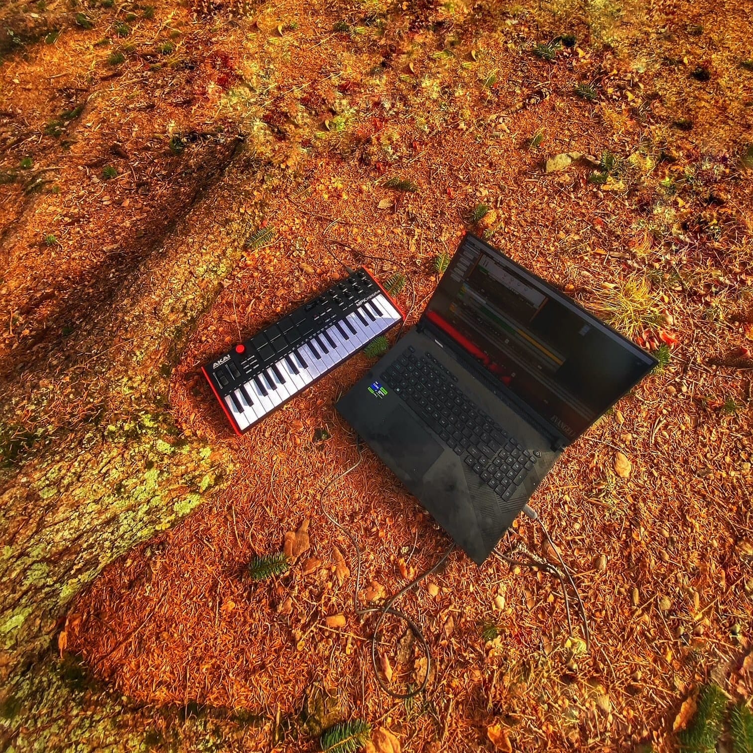 I Created My First Blog Magazine - Why The Silent Monologue Exists