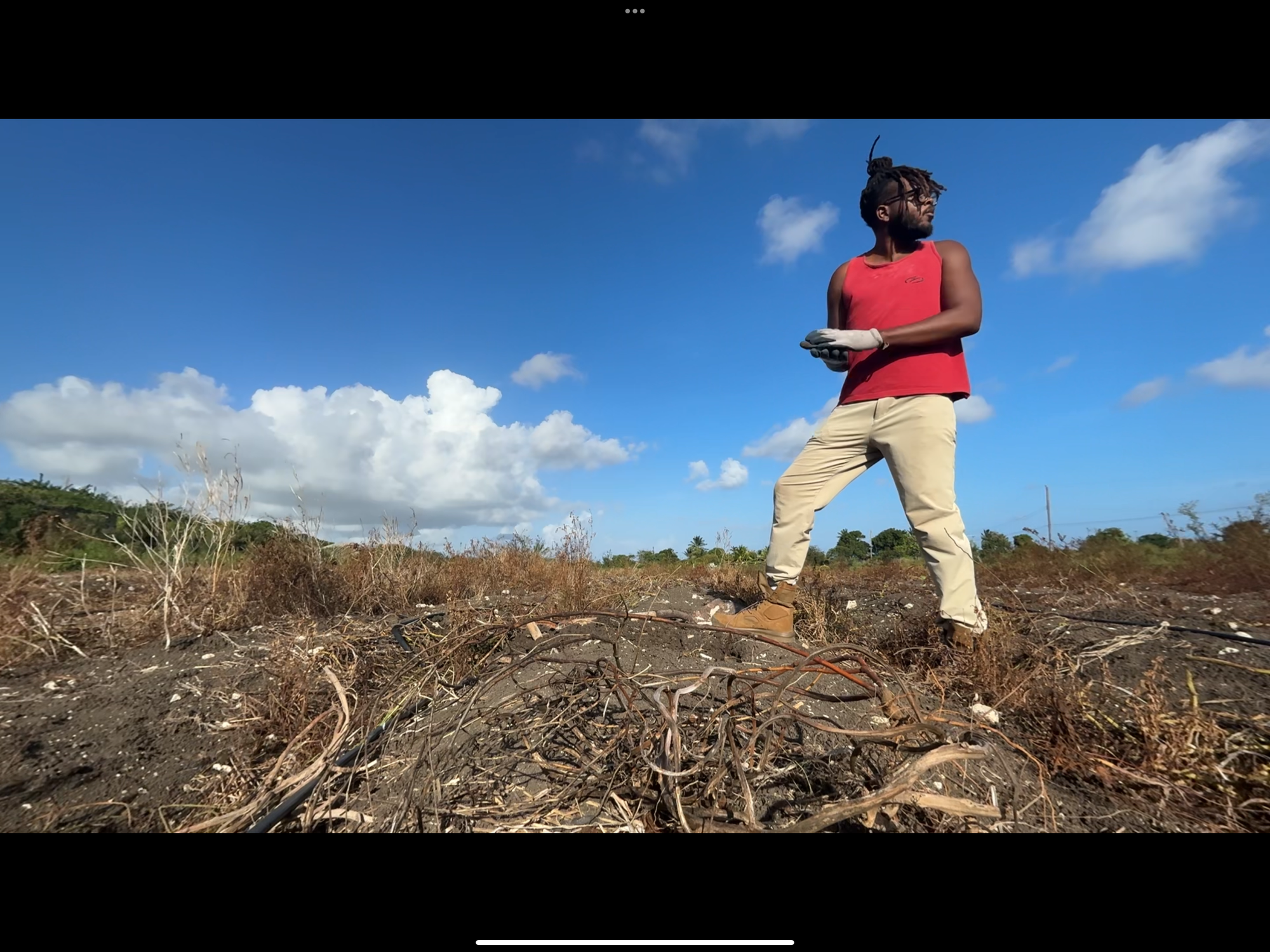 Full Color, A Seed For The Future: The Story Behind The Spectrum Keeper Short Film