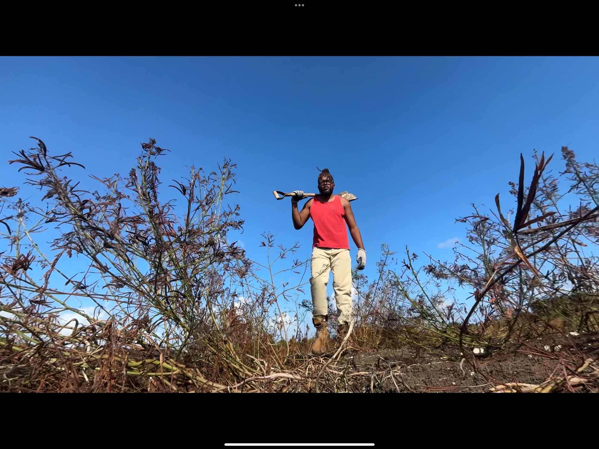 Full Color, A Seed For The Future: The Story Behind The Spectrum Keeper Short Film