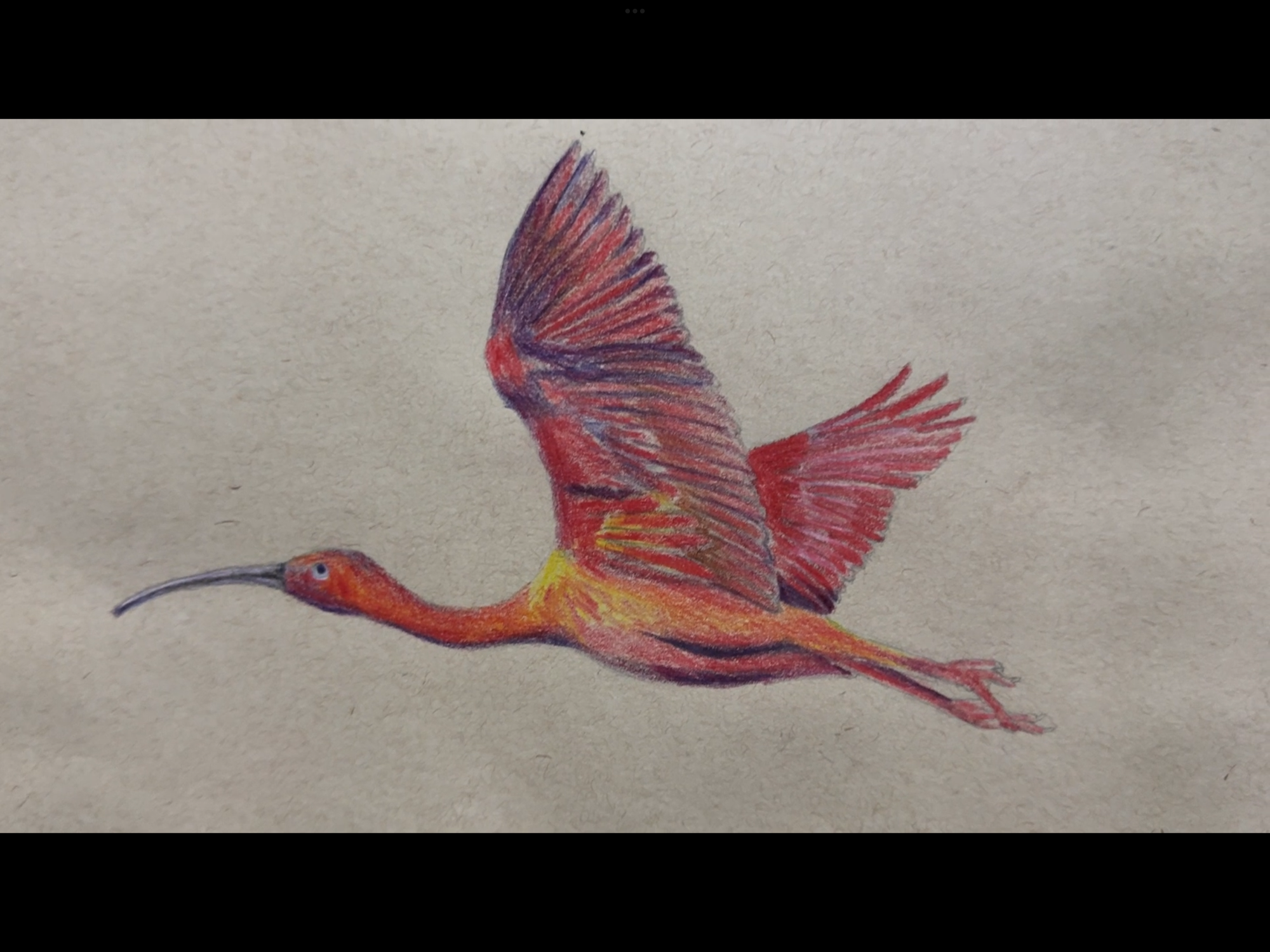 Full Color, A Seed For The Future: The Story Behind The Spectrum Keeper Short Film