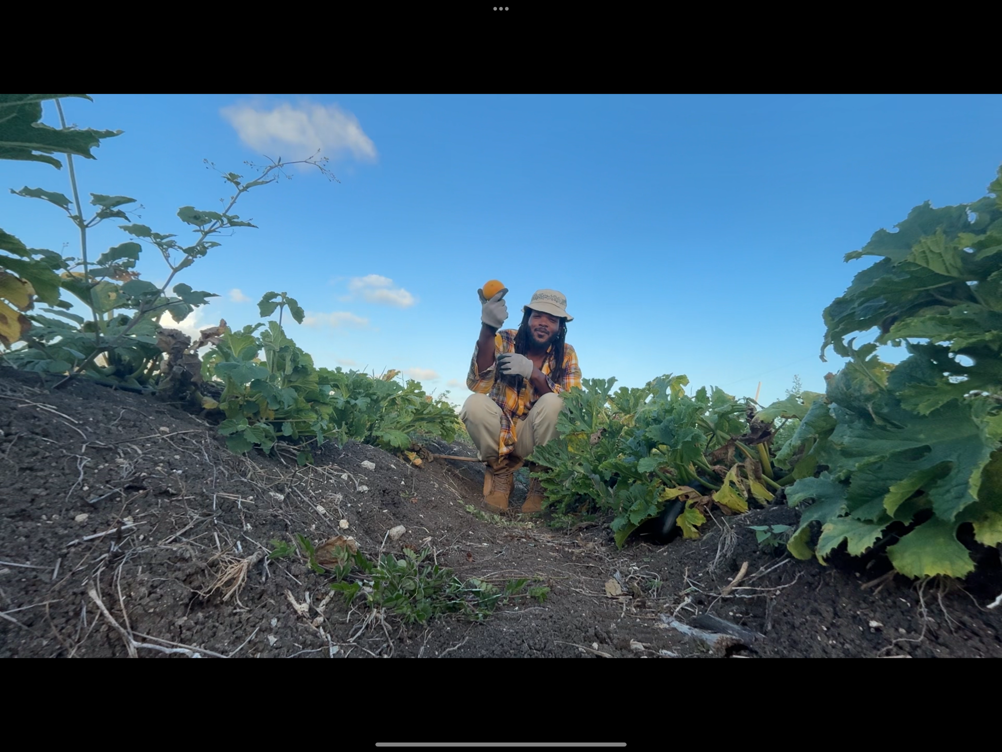 Full Color, A Seed For The Future: The Story Behind The Spectrum Keeper Short Film