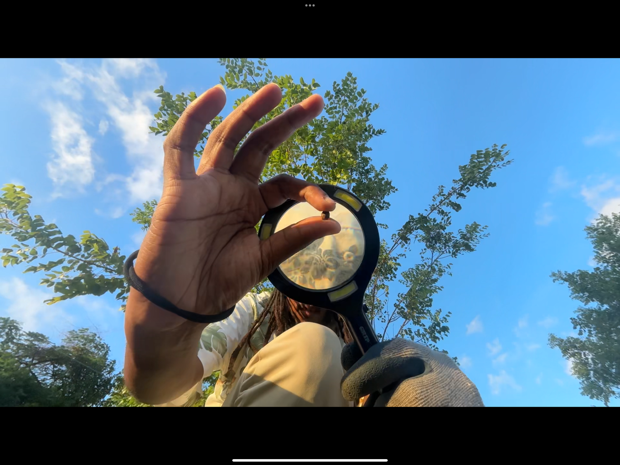 Full Color, A Seed For The Future: The Story Behind The Spectrum Keeper Short Film