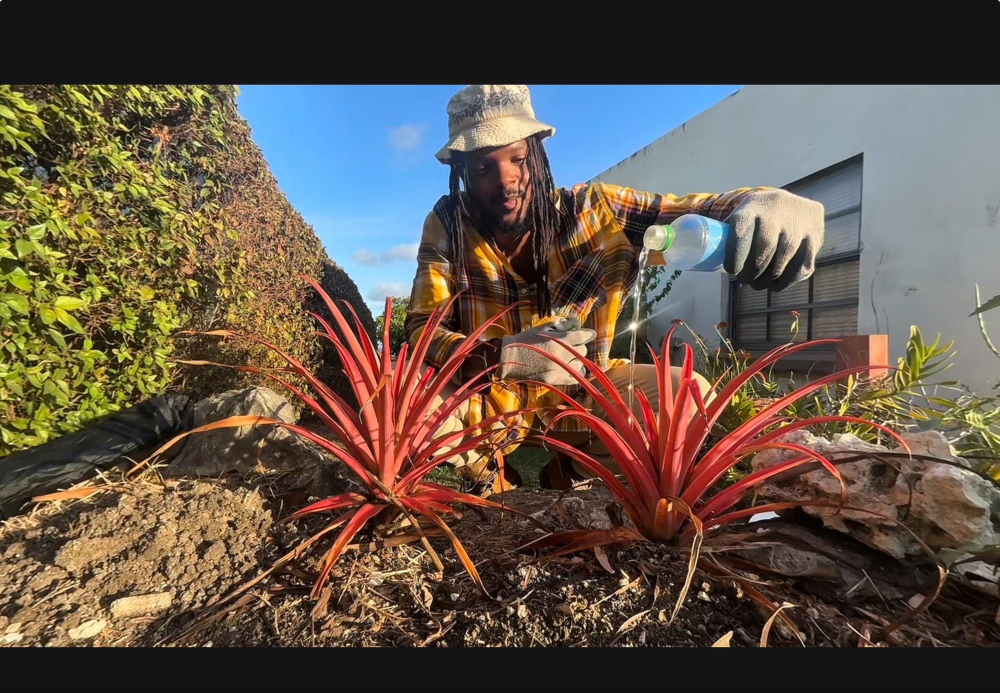 Full Color, A Seed For The Future: The Story Behind The Spectrum Keeper Short Film